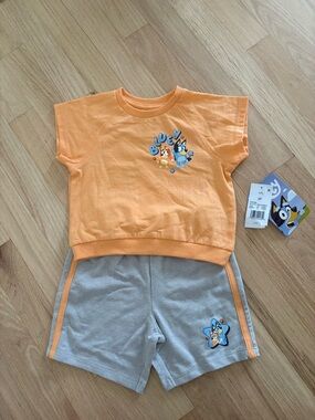 Bluey Toddler Outfit
